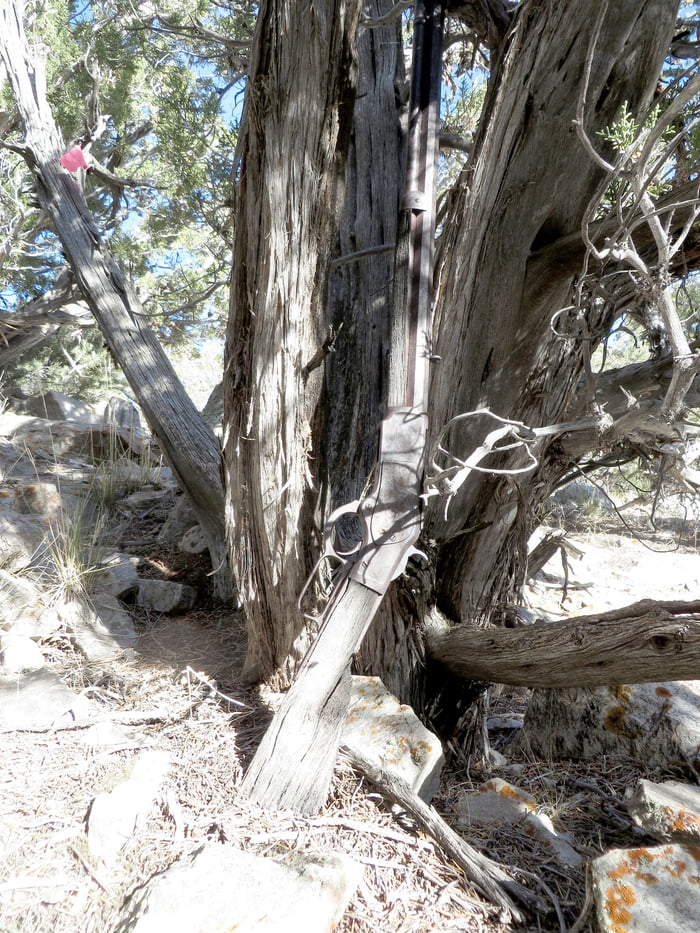 A 139 year old Winchester Rifle found leaning against a tree in Nevada