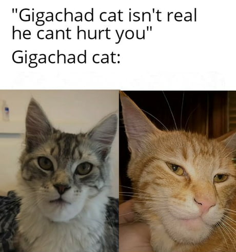 Giga Chad - 9GAG