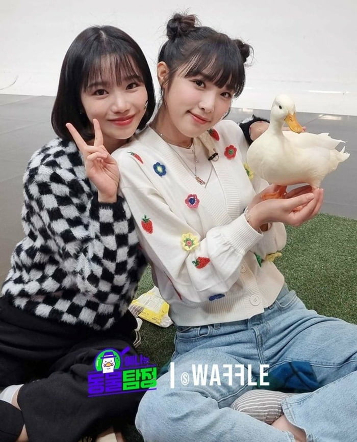 Photo : Yuri, Yena and Duck
