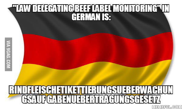 longest-german-word-one-question-why-9gag