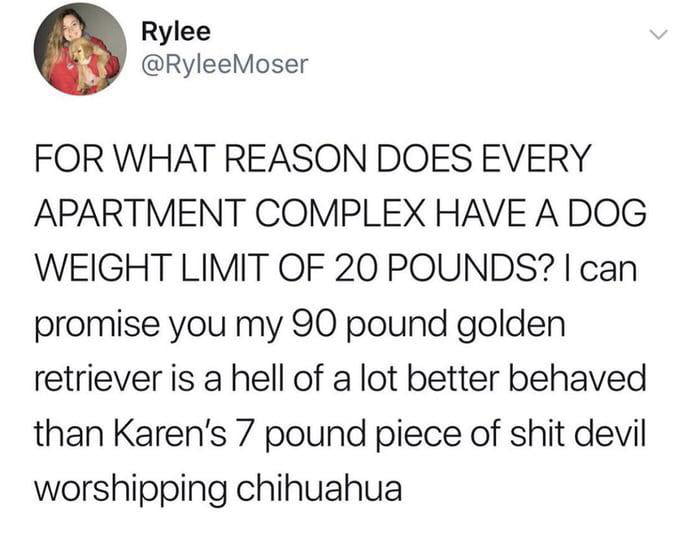Karen’s chihuahua