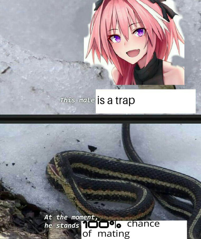 Astolfo is a gift from the heavens