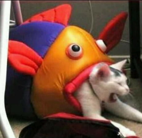 I have been laughing for 1 minute