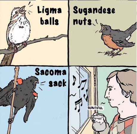 Ligma balls - 9GAG