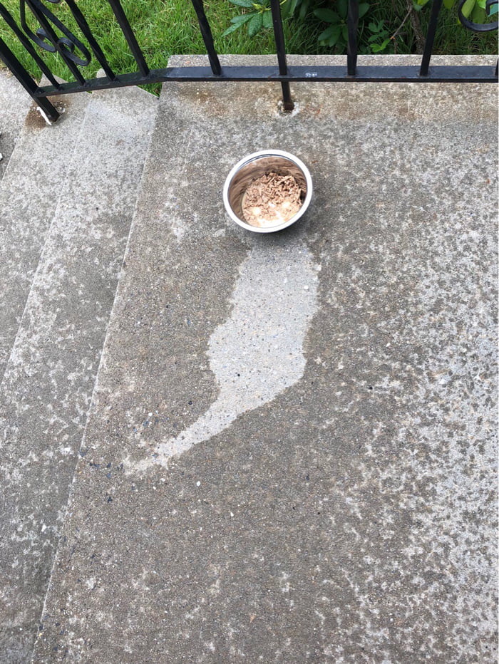 PoOr CAt gOt vApORIzEd oN iTs LaSt mEal