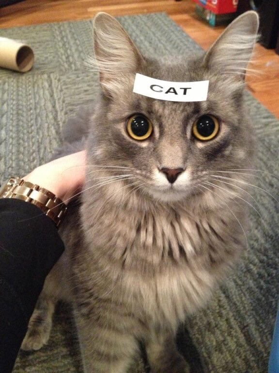 Thanks for the label, label maker