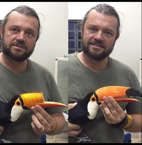 Man helps reconstruct a toucans beak using 3D printing. 1