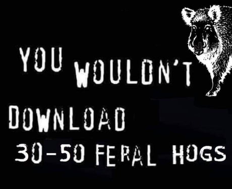 You wouldn't download a car. - 9GAG