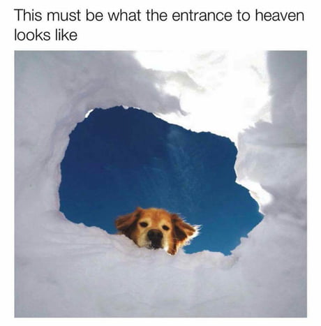 This must be what the entrance to heaven looks like - 9GAG