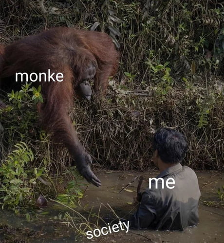 Best version of moonkey looking away meme - 9GAG