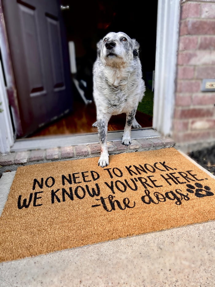 This face greets you at the door. WDYD? 9GAG