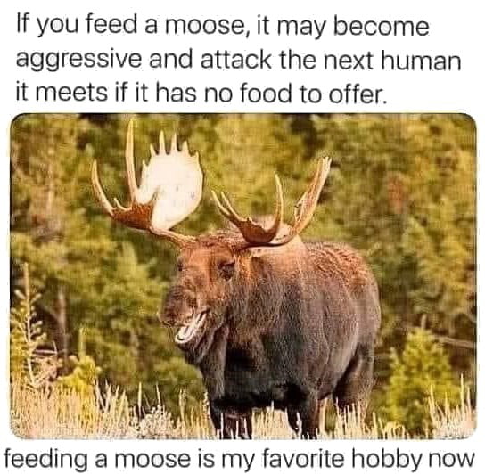 Where can I find some moose? 9GAG