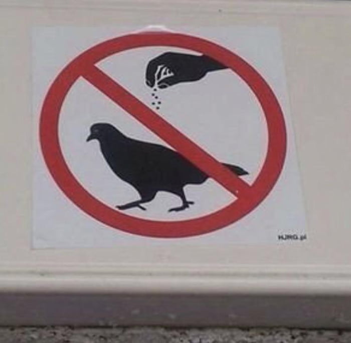 No saltbaeing on the birds, thank you.