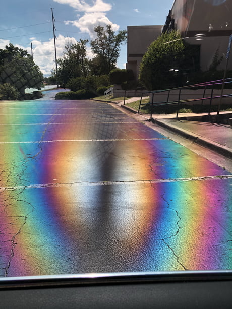 polarized sunglasses tinted windows rainbow