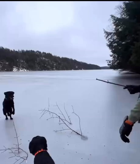 Our favorite family activity of the season...