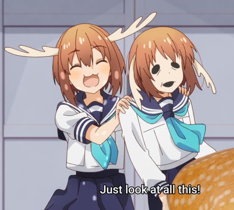 Best Funny shikanoko nokonoko Memes - 9GAG