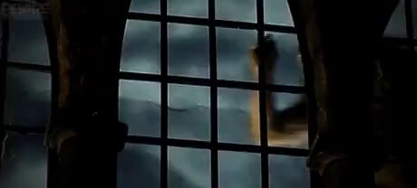 My dog when I'm more than five minutes late feeding him.