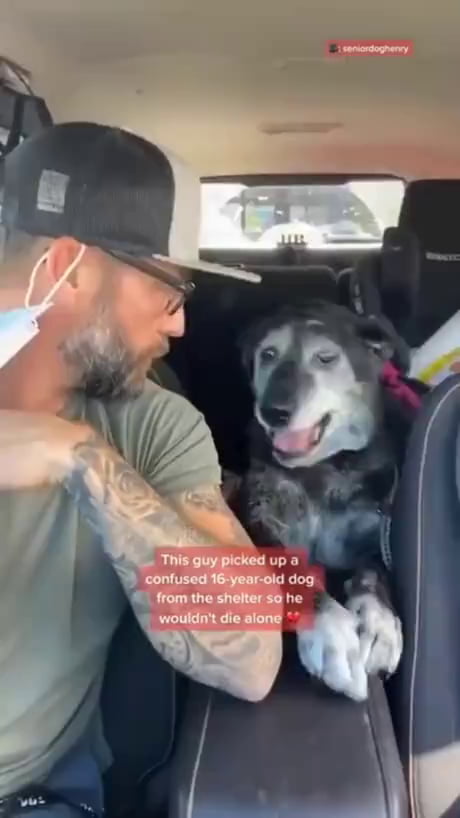 Old good boy