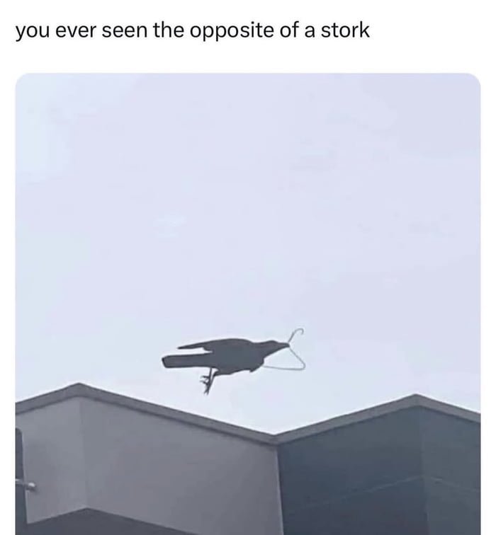 Liberals will love this Bird