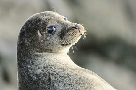 asdasd asdasdasd - Satisfied Seal