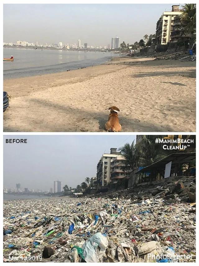 before-after-the-mahim-beach-cleanup-initiative-has-made-a