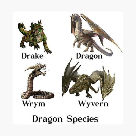 Biggest Dragons of all time - 9GAG