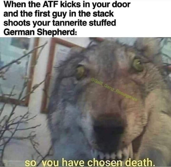 Hello Fed Boi - 9GAG