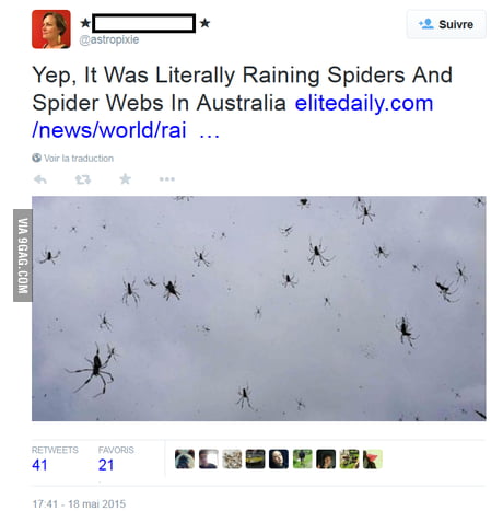 Yep, It Was Literally Raining Spiders And Spider Webs In Australia (Photos)