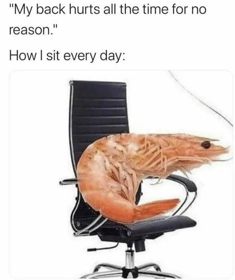 Thanks For Showing Me What My Problem Is And Why My Back Hurts I M A Frickin Shrimp 9gag