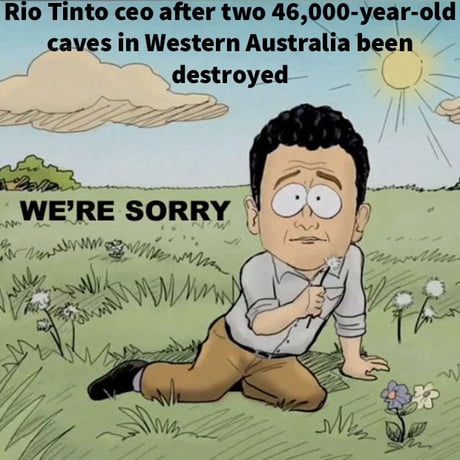 rio funny memes