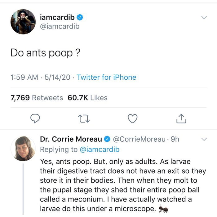 Finally somebody answers the age-old question