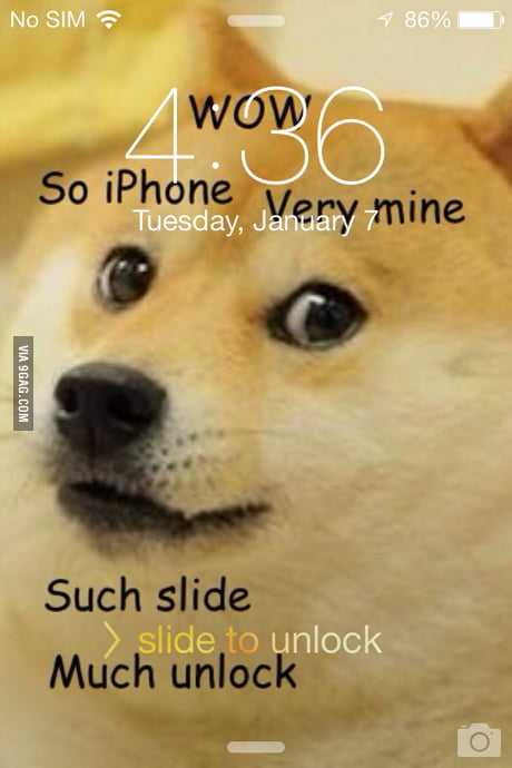 doge iphone background