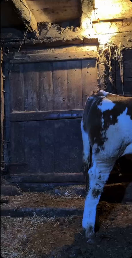 Men only want one thing