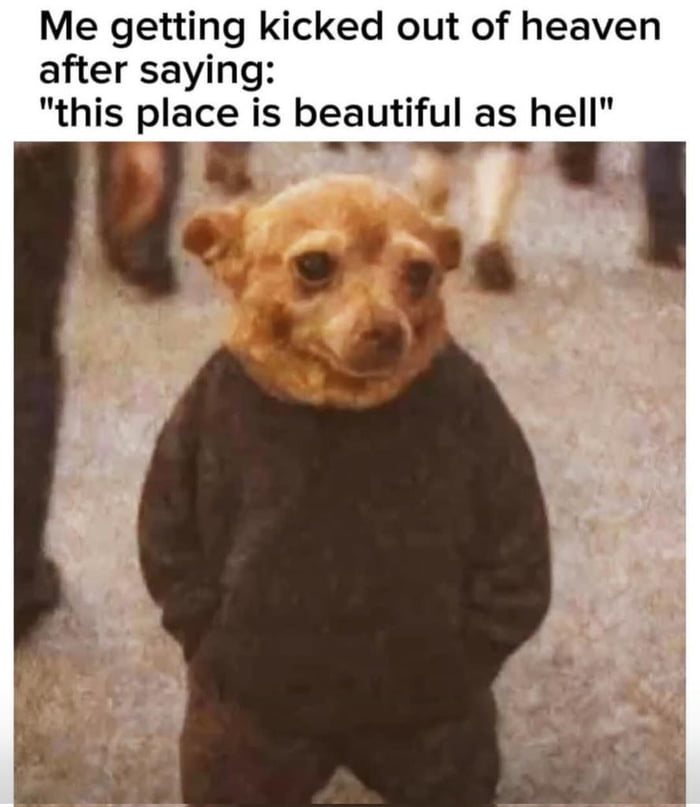 Gosh darnit - 9GAG