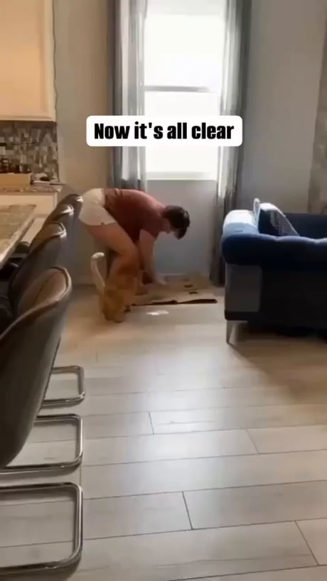 One whole orange braincell at work