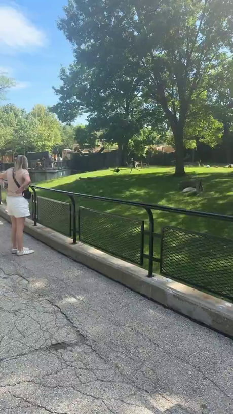 Bad parenting