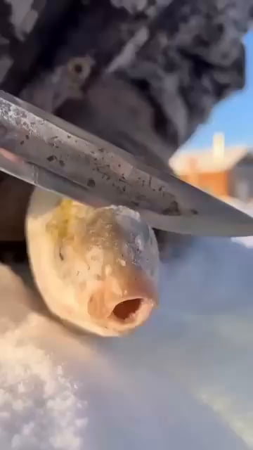 Cooking at -6 celsius degrees