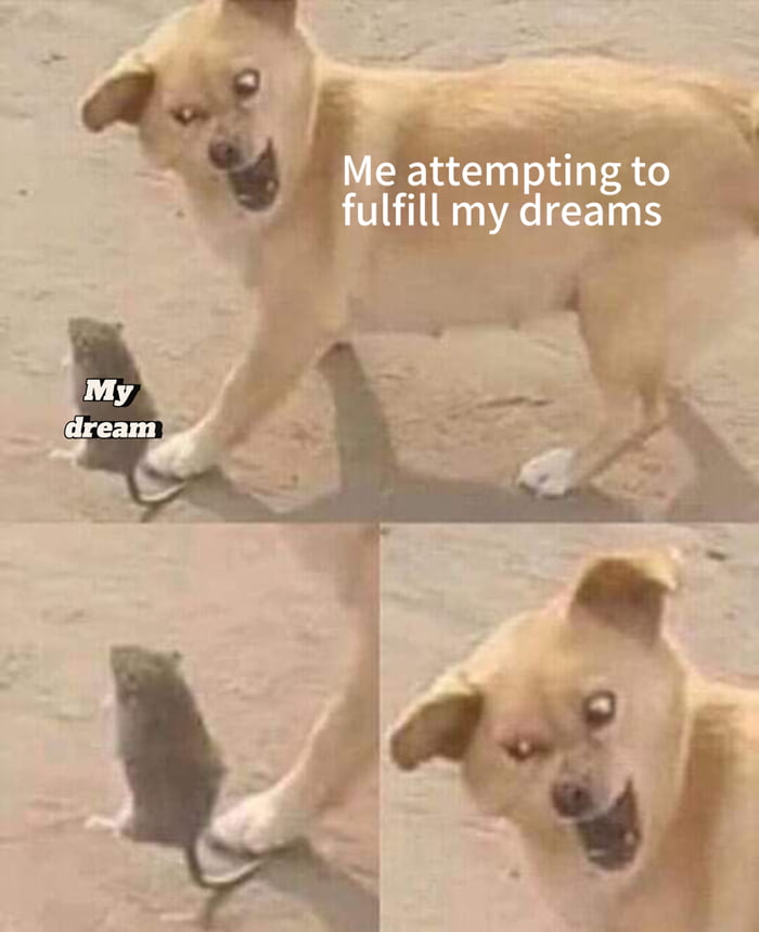 Dim dreams are similar to breadcrumbs. 9GAG