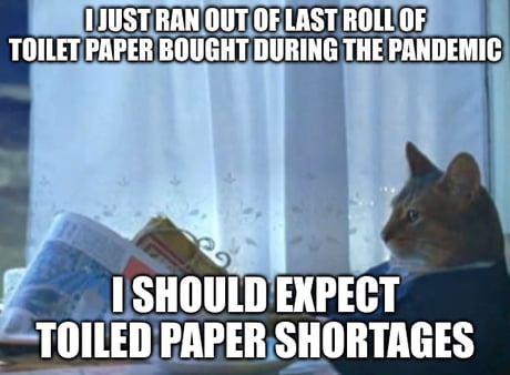 Toilet Paper Thief Memes