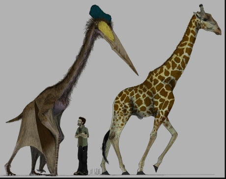 quetzalcoatlus size comparison