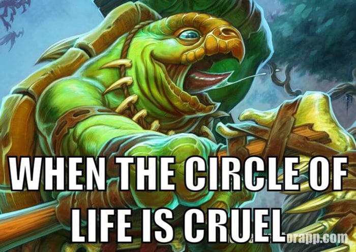 A turtle made it to the water - 9GAG