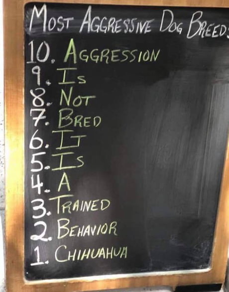 what are the 10 most aggressive dogs