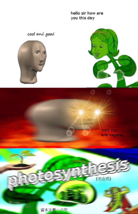 via 9gag.com