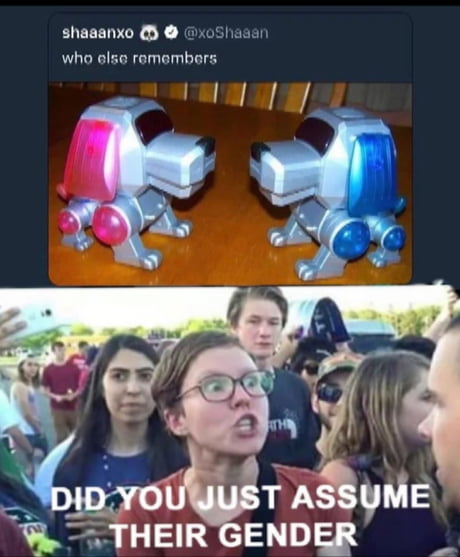 Assume Gender Meme