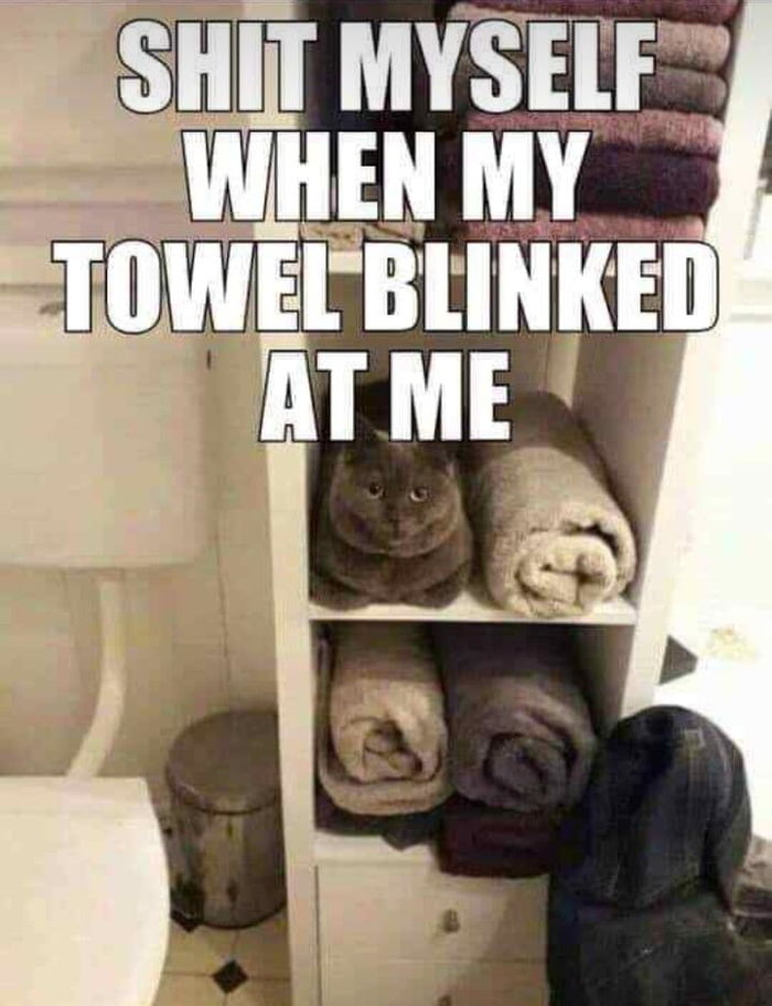 Sneaky pussy