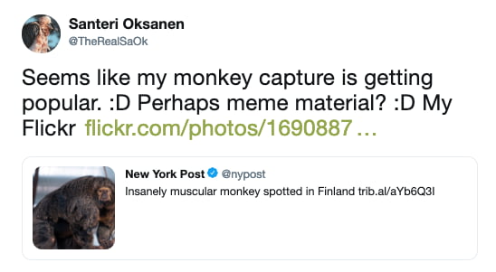 People Are Obsessed With This Super Buff Monkey At Finland Zoo - 9GAG