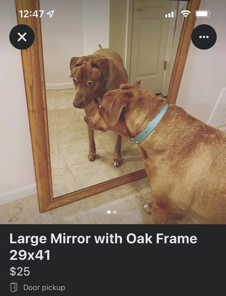 Large mirror for sale - 9GAG