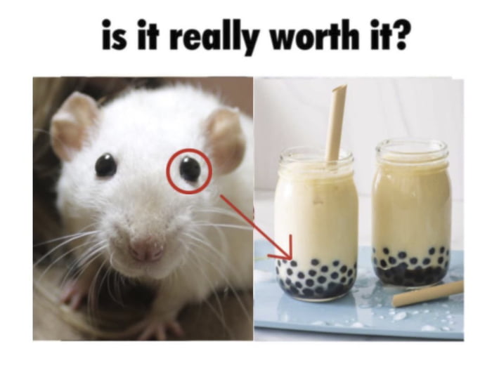 I hate bubble tea 9GAG