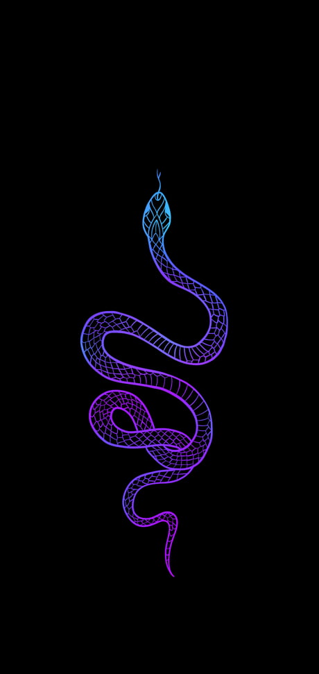 Snake purple snakes HD phone wallpaper  Peakpx