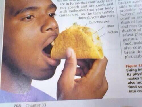 How To Properly Eat A Taco - 9gag